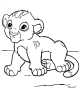 magicolor.free.fr_roi lion (35) * 660 x 732 * (10KB)